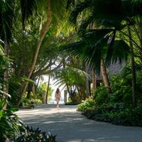 Informații generale preview