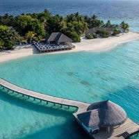 Informații generale preview