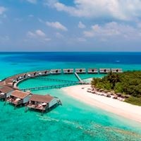 Informații generale preview