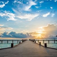 Informații generale preview