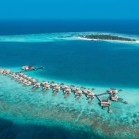 Informații generale preview