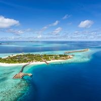 Informații generale preview