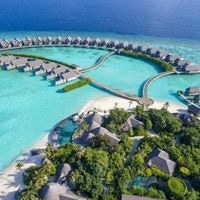 Informații generale preview