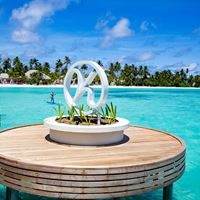 Informații generale preview