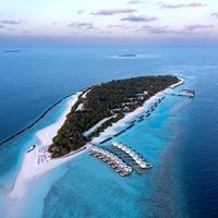 Informații generale preview