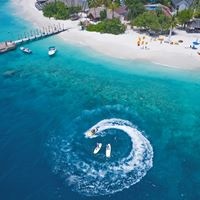 Informații generale preview