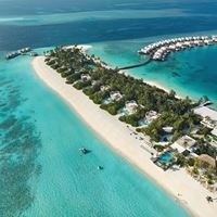 Informații generale preview