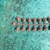 Informații generale preview