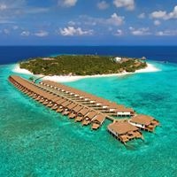 Informații generale preview