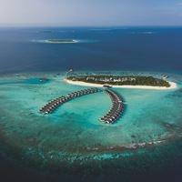 Informații generale preview