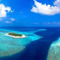 Informații generale preview