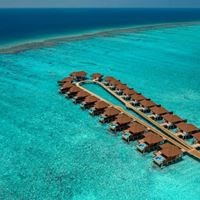 Informații generale preview