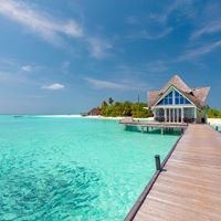 Informații generale preview