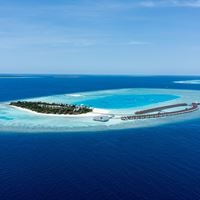 Informații generale preview