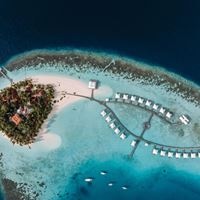 Informații generale preview