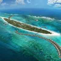 Informații generale preview