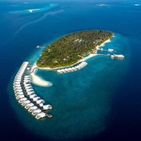 Informații generale preview