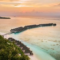 Informații generale preview