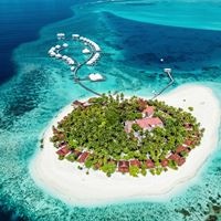 Informații generale preview