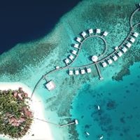 Informații generale preview