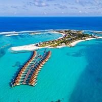 Informații generale preview