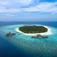 Informații generale preview