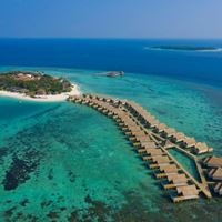 Informații generale preview