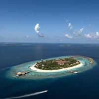 Informații generale preview