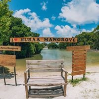 Informații generale preview