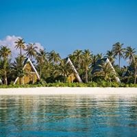 Informații generale preview