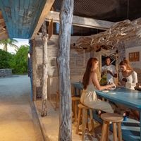 Informații generale preview