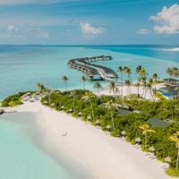 Informații generale preview