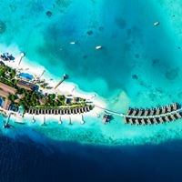 Informații generale preview