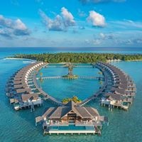 Informații generale preview