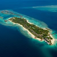 Informații generale preview