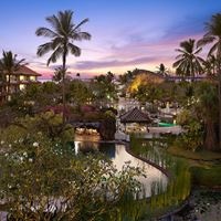 Informații generale preview