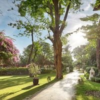 Informații generale preview