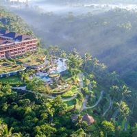 Informații generale preview