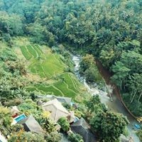 Informații generale preview