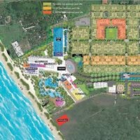 Informații generale preview