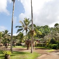 Informații generale preview