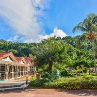 Informații generale preview