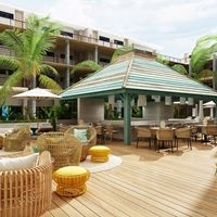 Informații generale preview