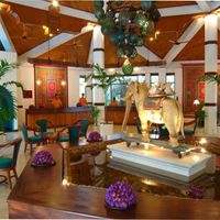 Informații generale preview