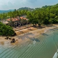 Informații generale preview