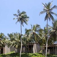 Informații generale preview