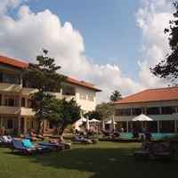 Informații generale preview