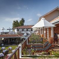 Informații generale preview