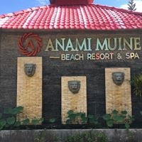 Informații generale preview