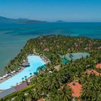 Informații generale preview